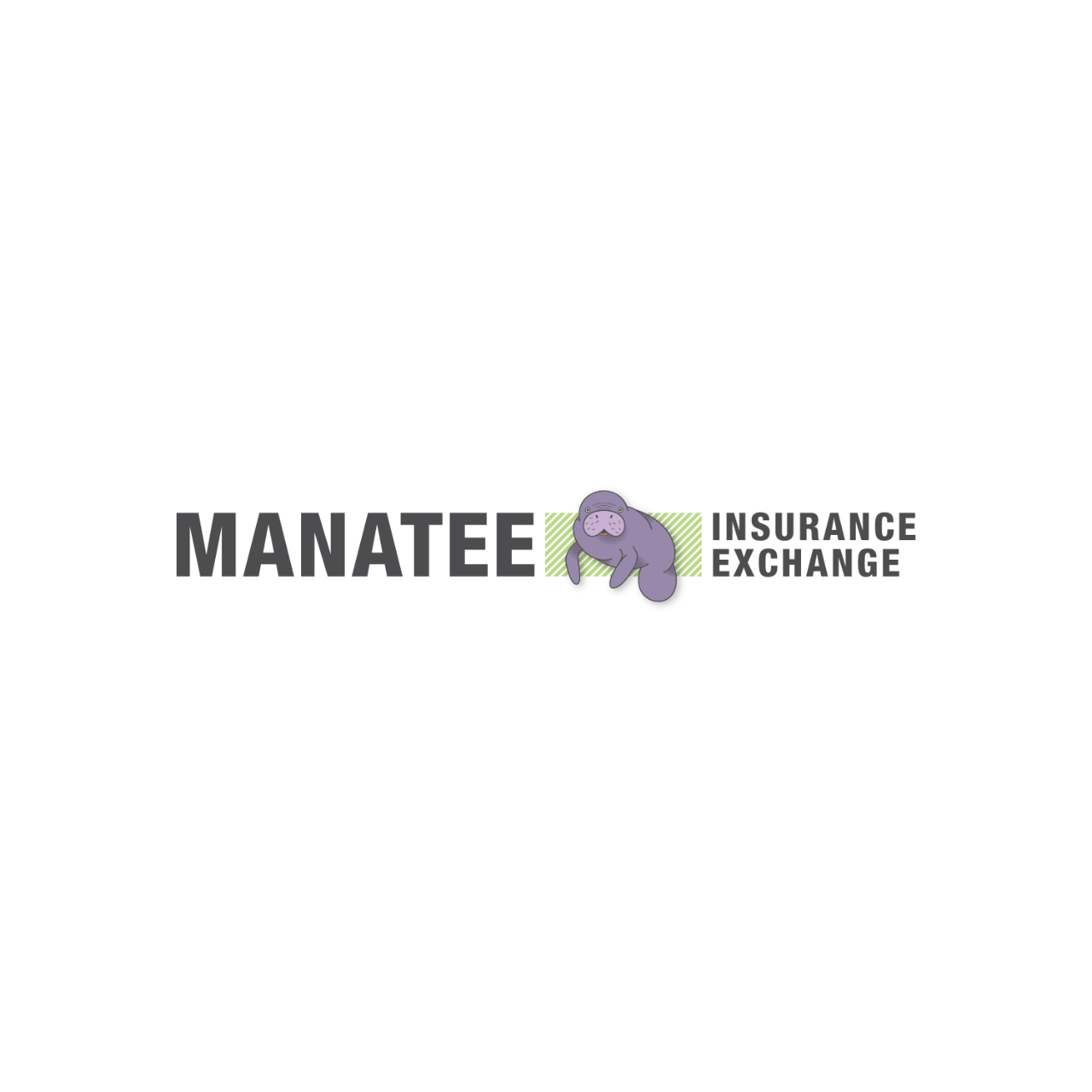 Manatee Insurance (1)